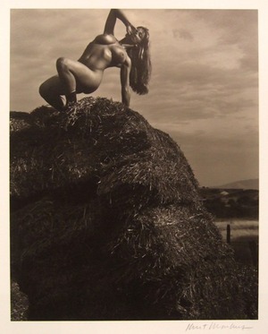 カート・マーカス