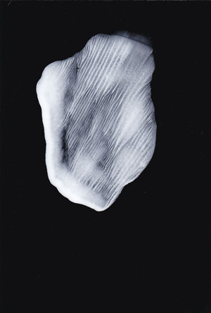 20180423_takiguchi2014_II_30