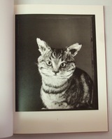 ベッティナ・ランス「ANIMAL」１