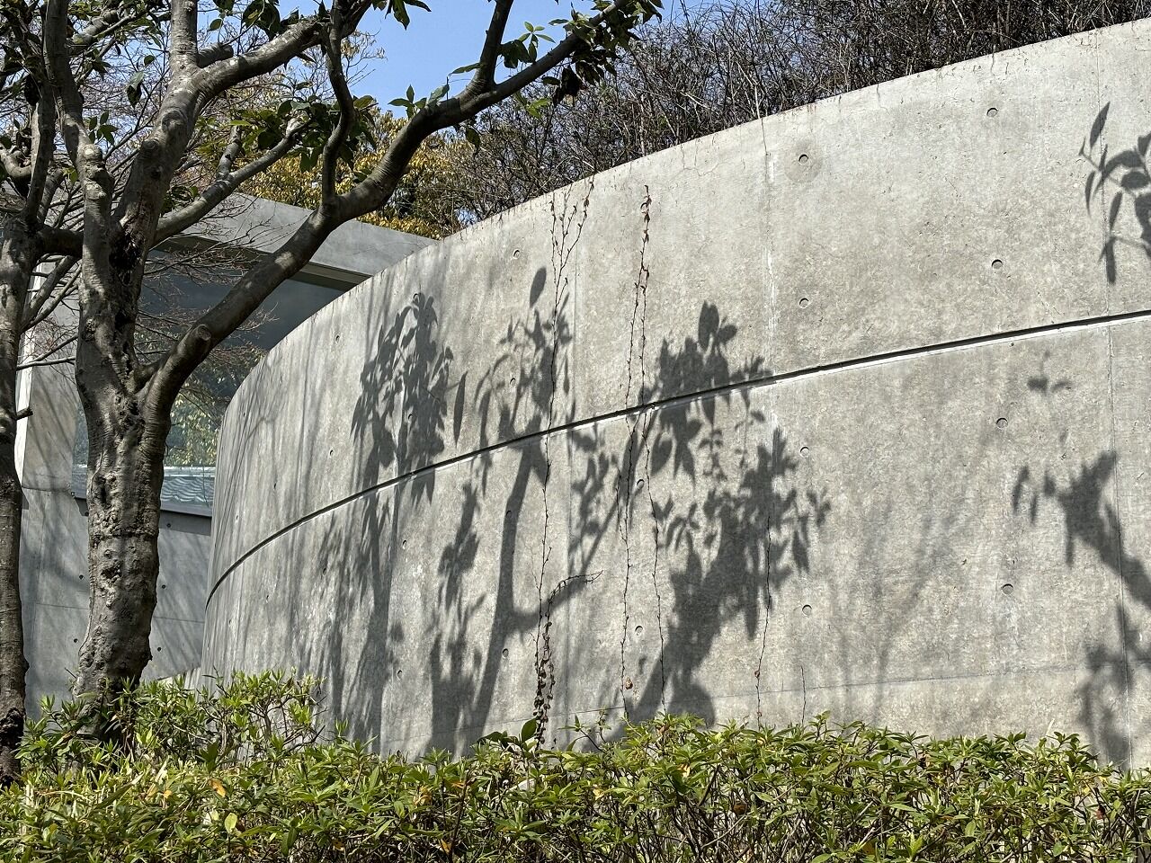 安藤忠雄　大山崎山荘美術館 (86)