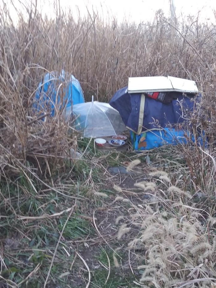 136944497_417965956181254_4325648325691957474_n