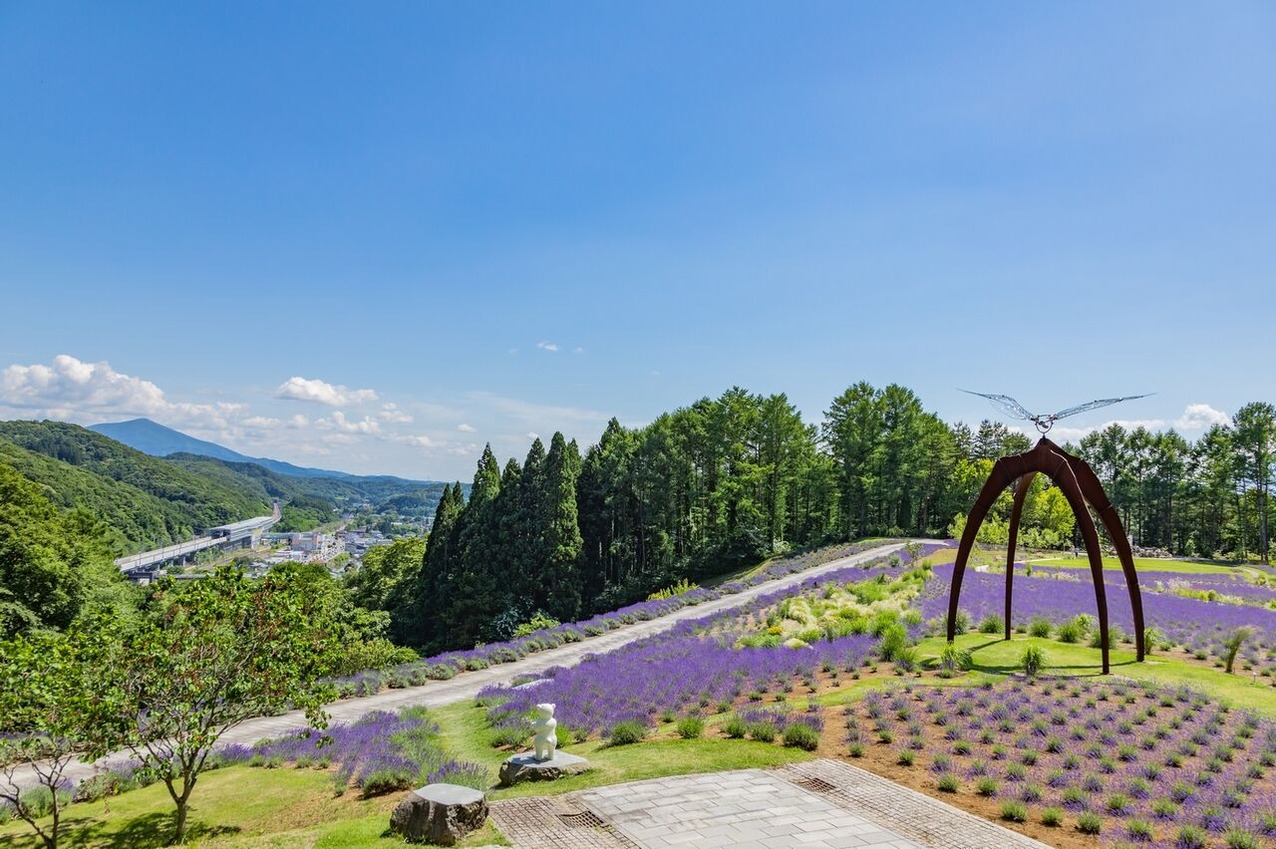②石神の丘美術館 野外エリア〈花とアートの森〉空の広場