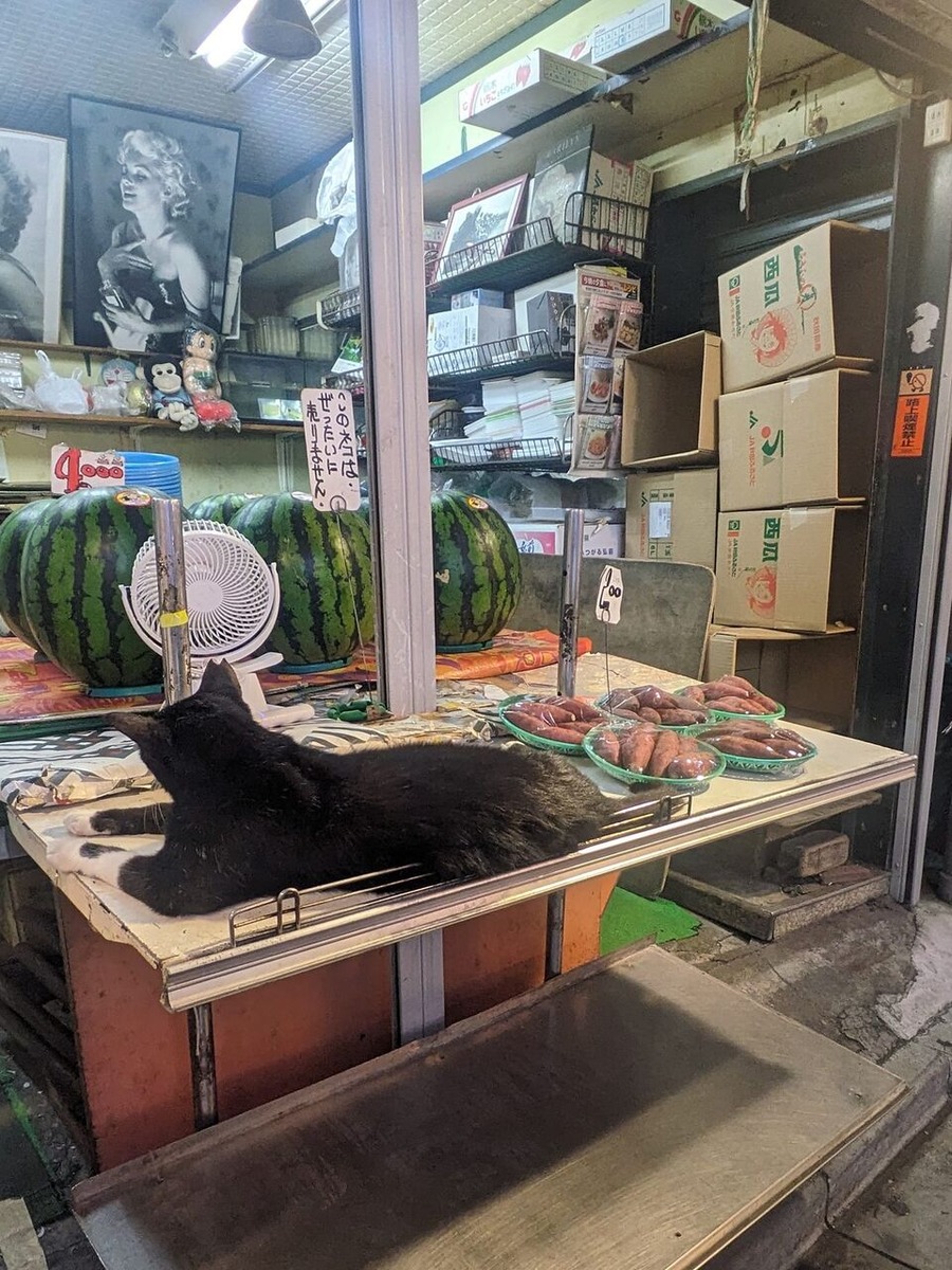 476816135_1337538997557274_8409125331485368469_n