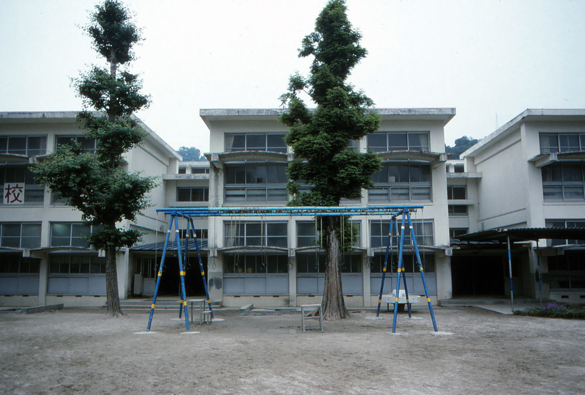 067縺ｮ繧ｳ繝偵ｚ繝ｼ