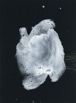 20141109_takiguchi2014_III_32