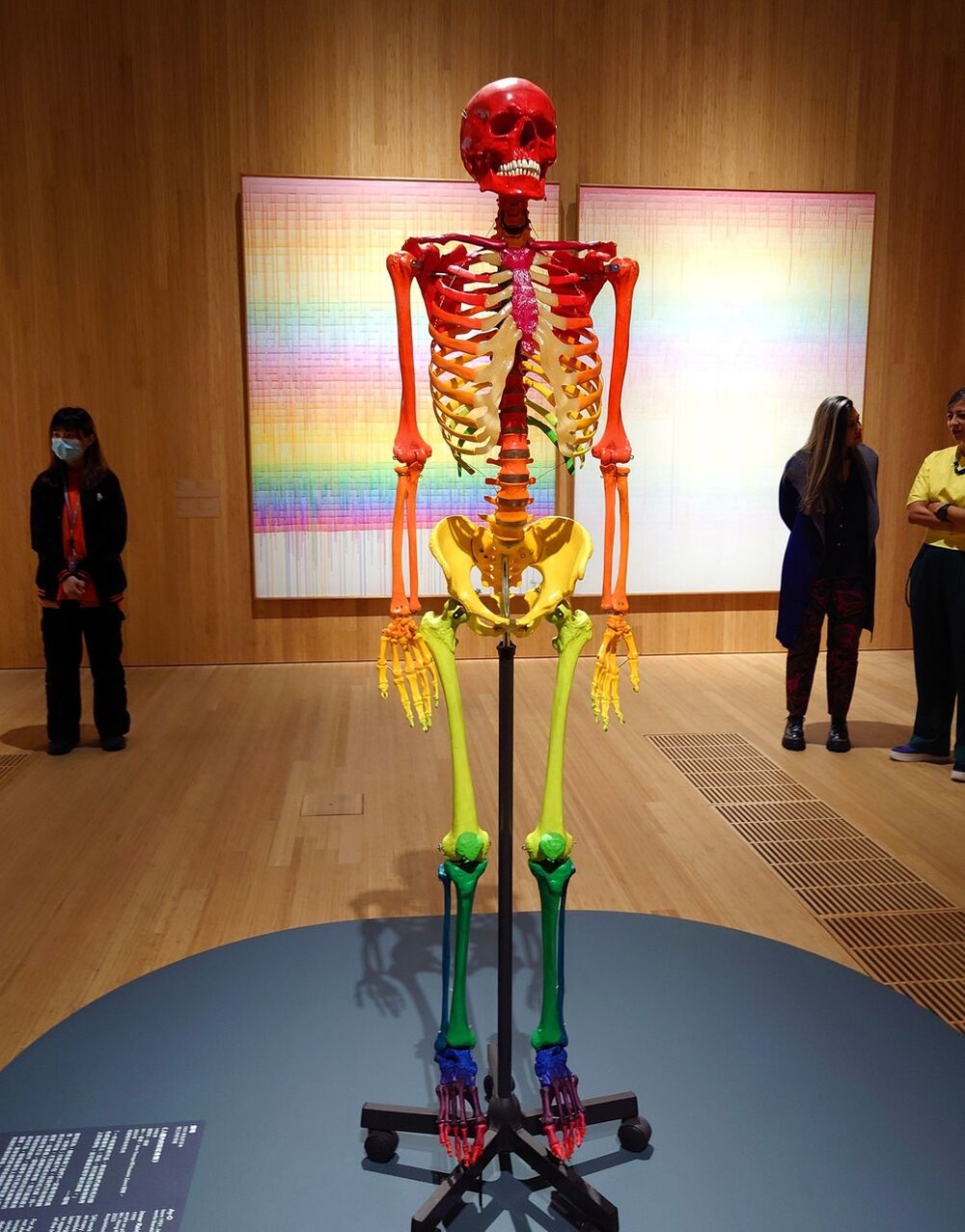 ⑫靉嘔・虹虹虹展　※作品《インナー レインボー スケルトン》