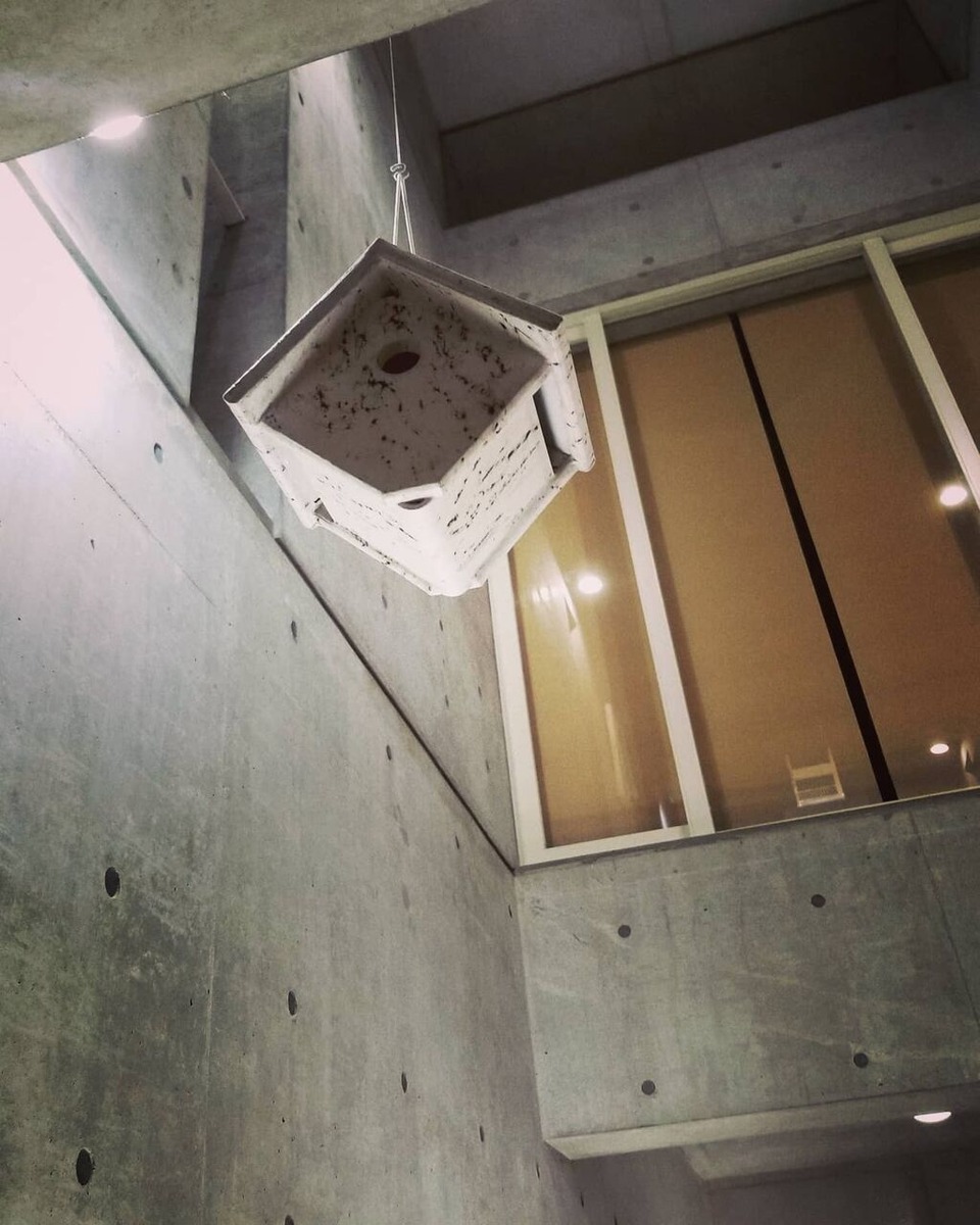 121094118_3444723865603674_7006581546606767885_o