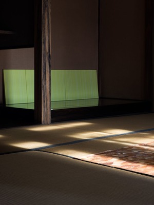 6《鏡の中の (mimoza)》