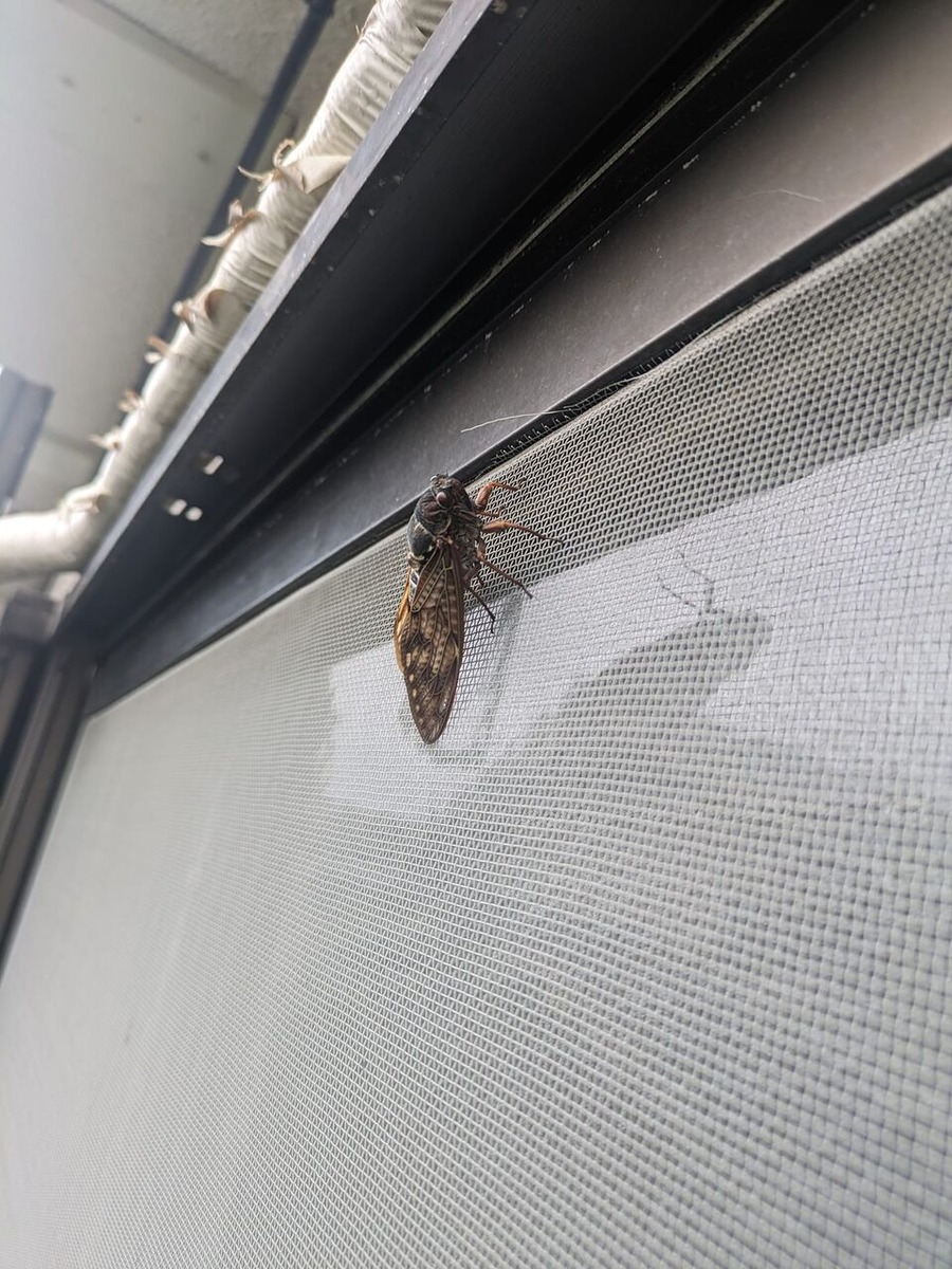 476664182_1337532564224584_5754614157219319740_n