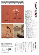 芸術写真の精華裏