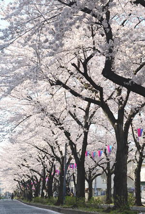 埼玉県立近代美術館_15