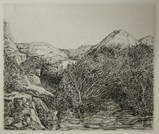 駒井哲郎山の奥1