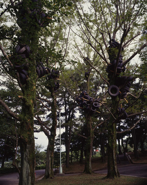 タイヤの生る木