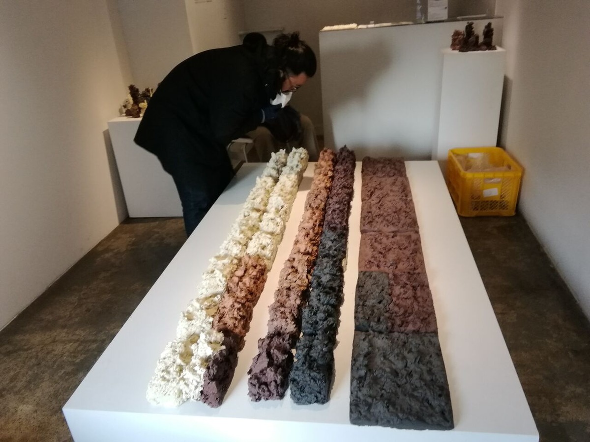 202202伊藤公象_20220126_142912