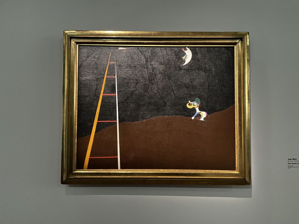 39) Miro nuitIMG_8358