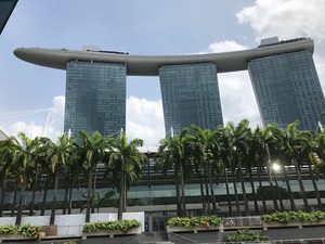 IMG_1764シンガポールフェア会場