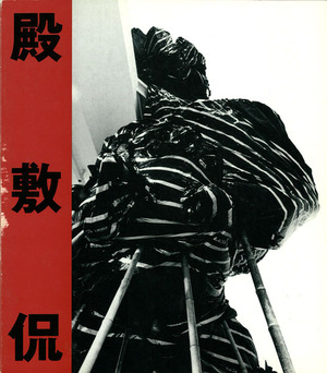 1990年『殿敷侃 逆流する現実』