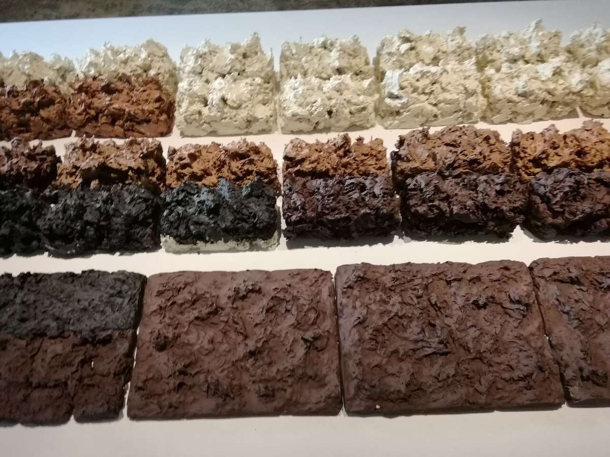 202202伊藤公象_20220126_143051