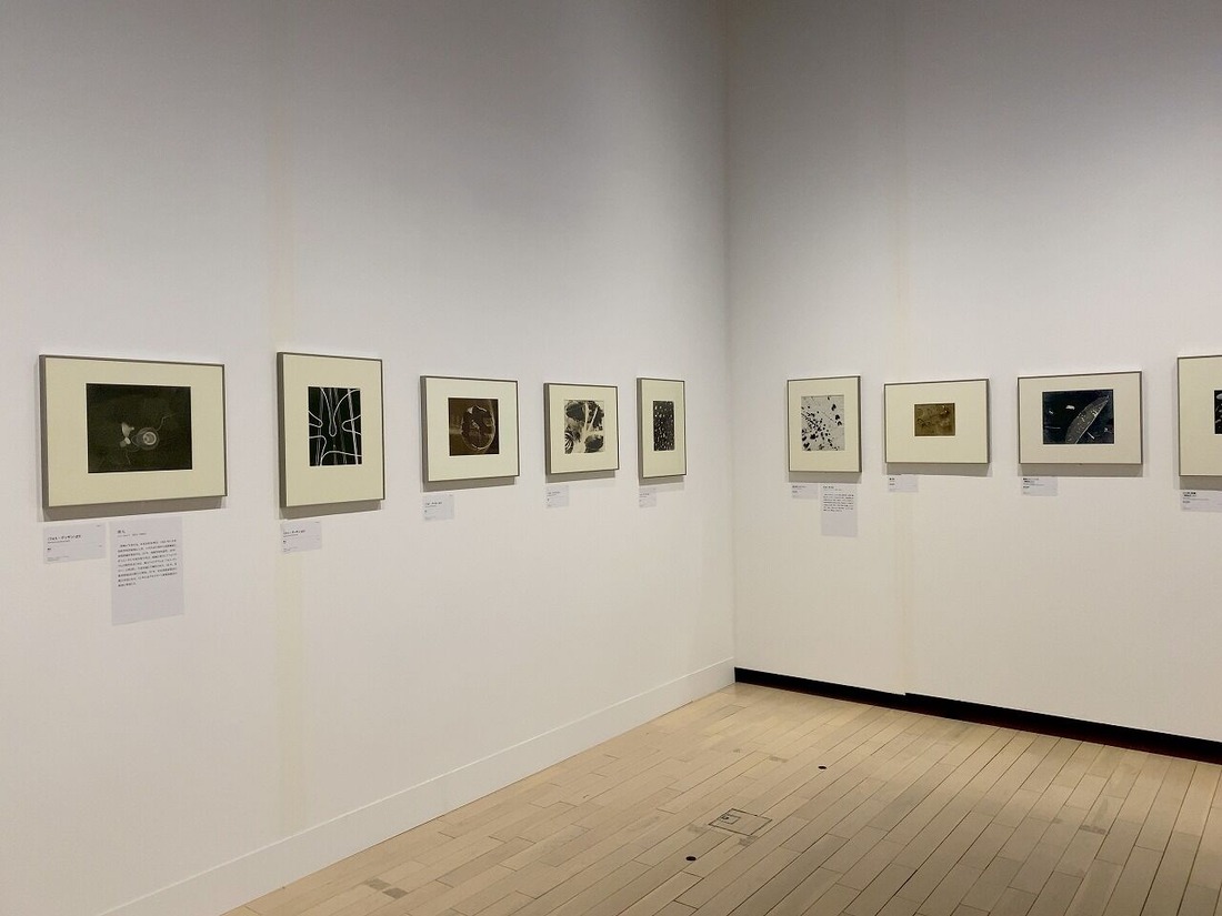 20220622東京都写真美術館「アヴァンガルド勃興」展 (9)