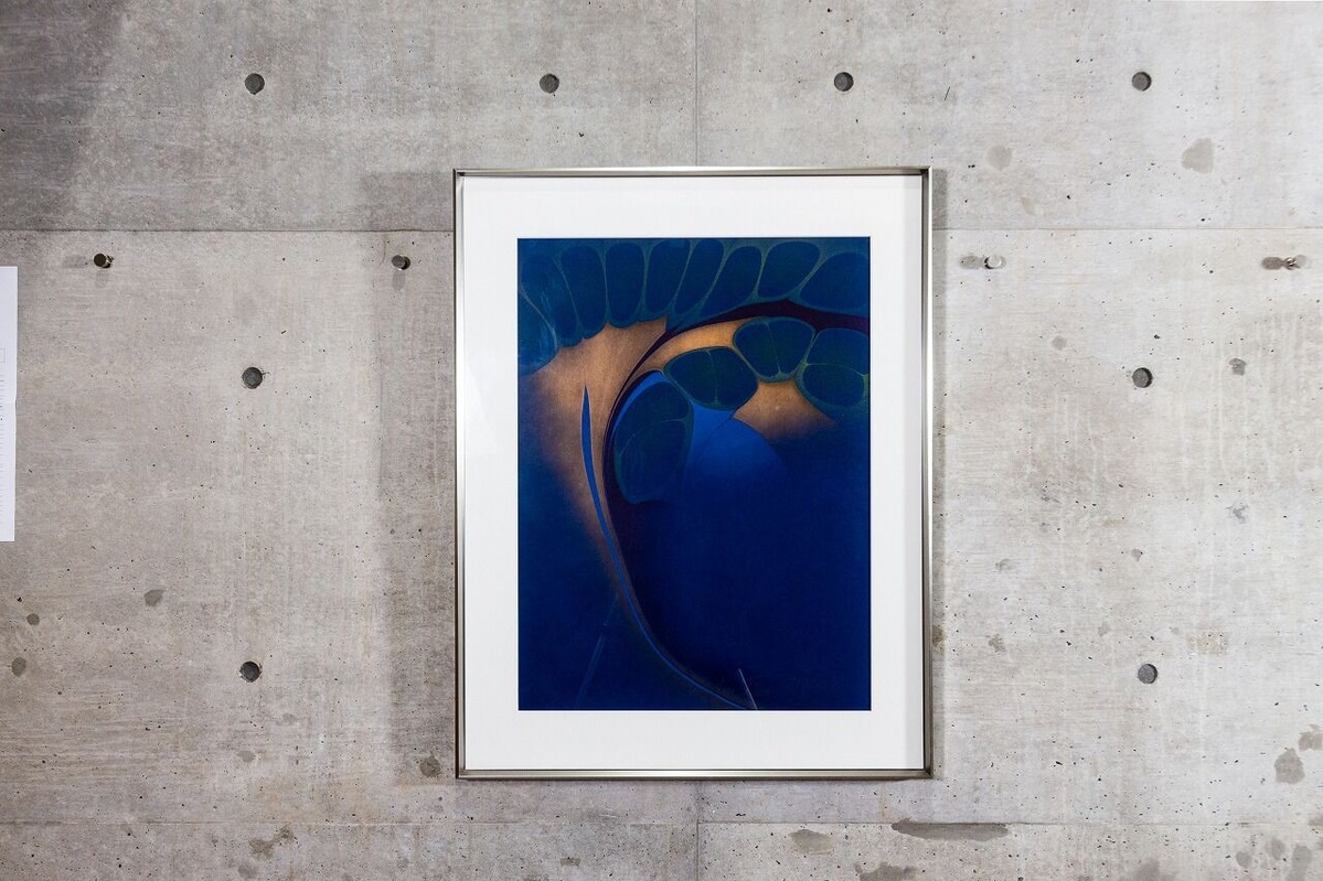 2021_11_25_U_MG_2408