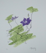 深沢紅子「てっせん」