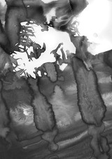 kimijima_14_poured-14