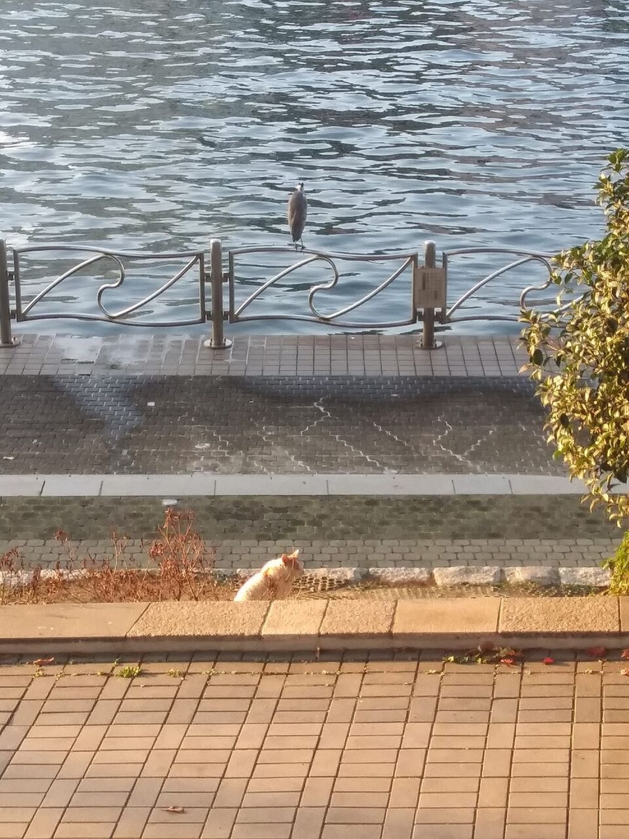 473648507_1319127536065087_772349690152422206_n