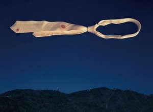 「幻影」シリーズより