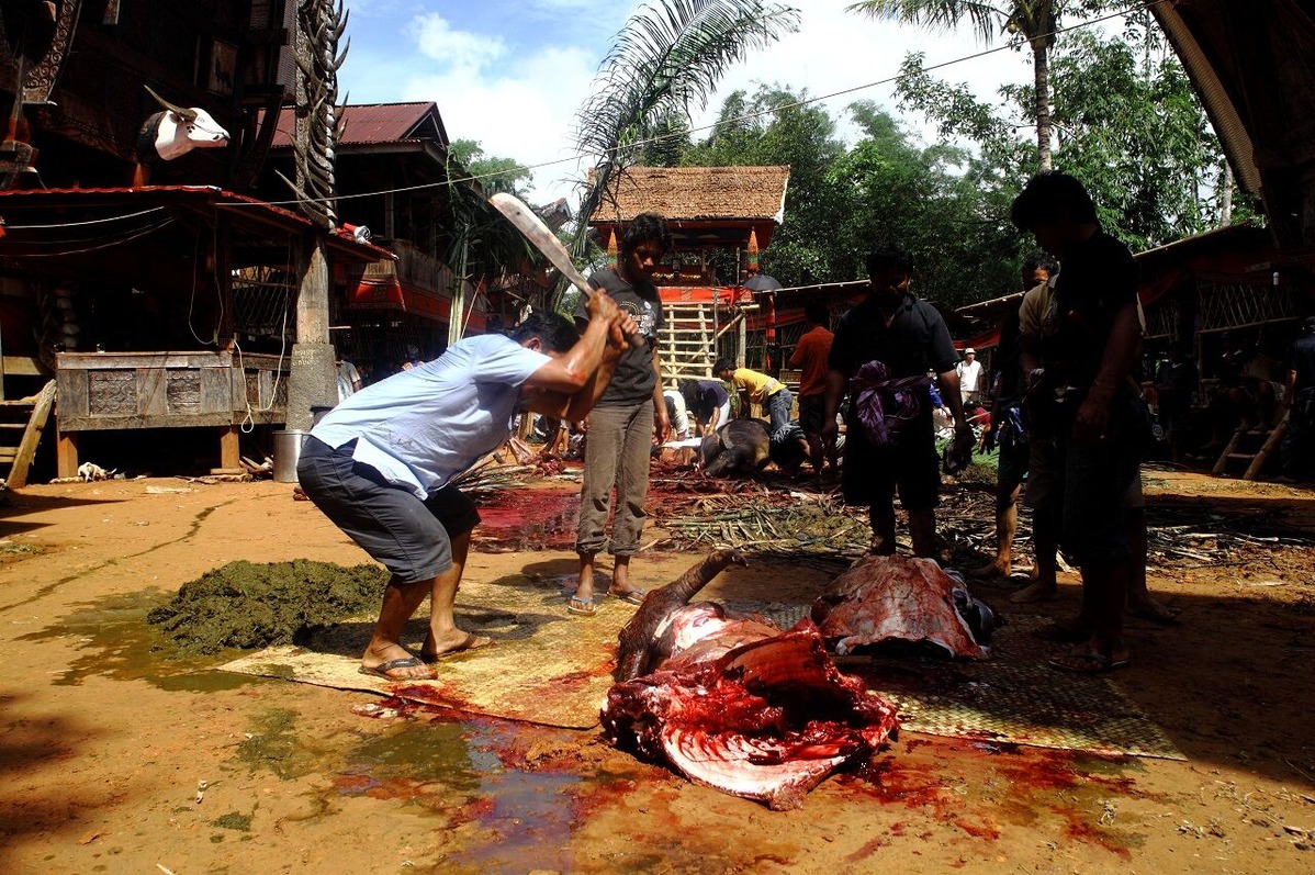 202101平嶋彰彦ph3-IMG_9690-a