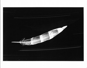 奈良原一高_スター・レクイエム―シブサハ_スバル風