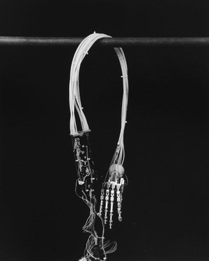 肉体と鉄棒 14-1