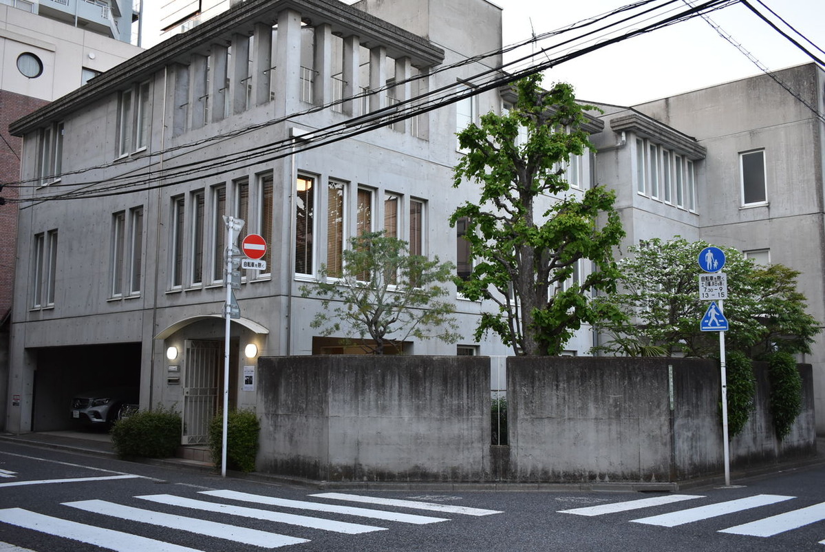 外から眺める木々