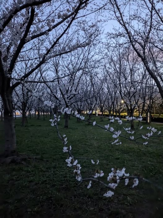 489498990_1378532976791209_2437698111309632688_n