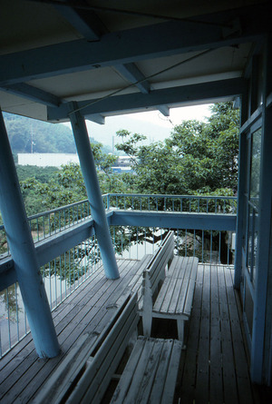 049縺ｮ繧ｳ繝偵ｚ繝ｼ