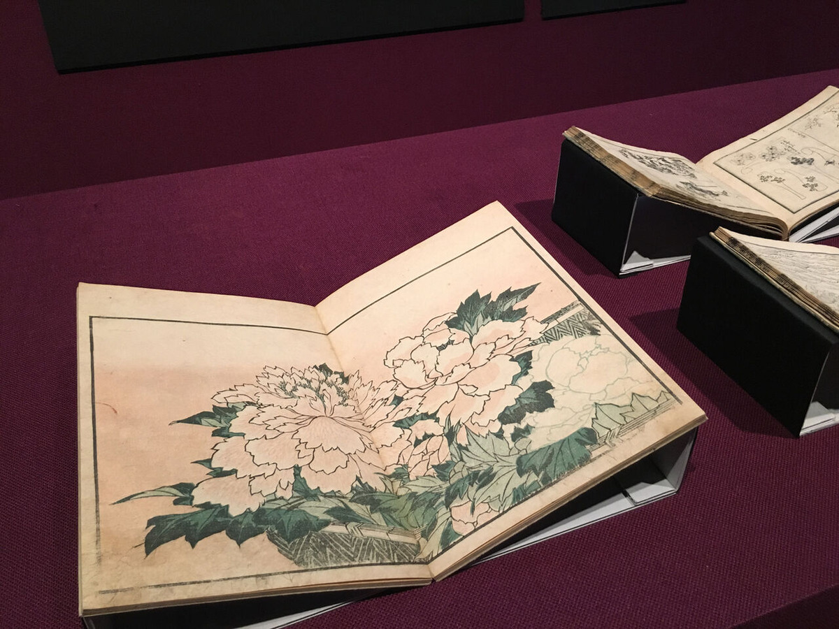 中尾美穂010北斎写真画譜IMG_1176