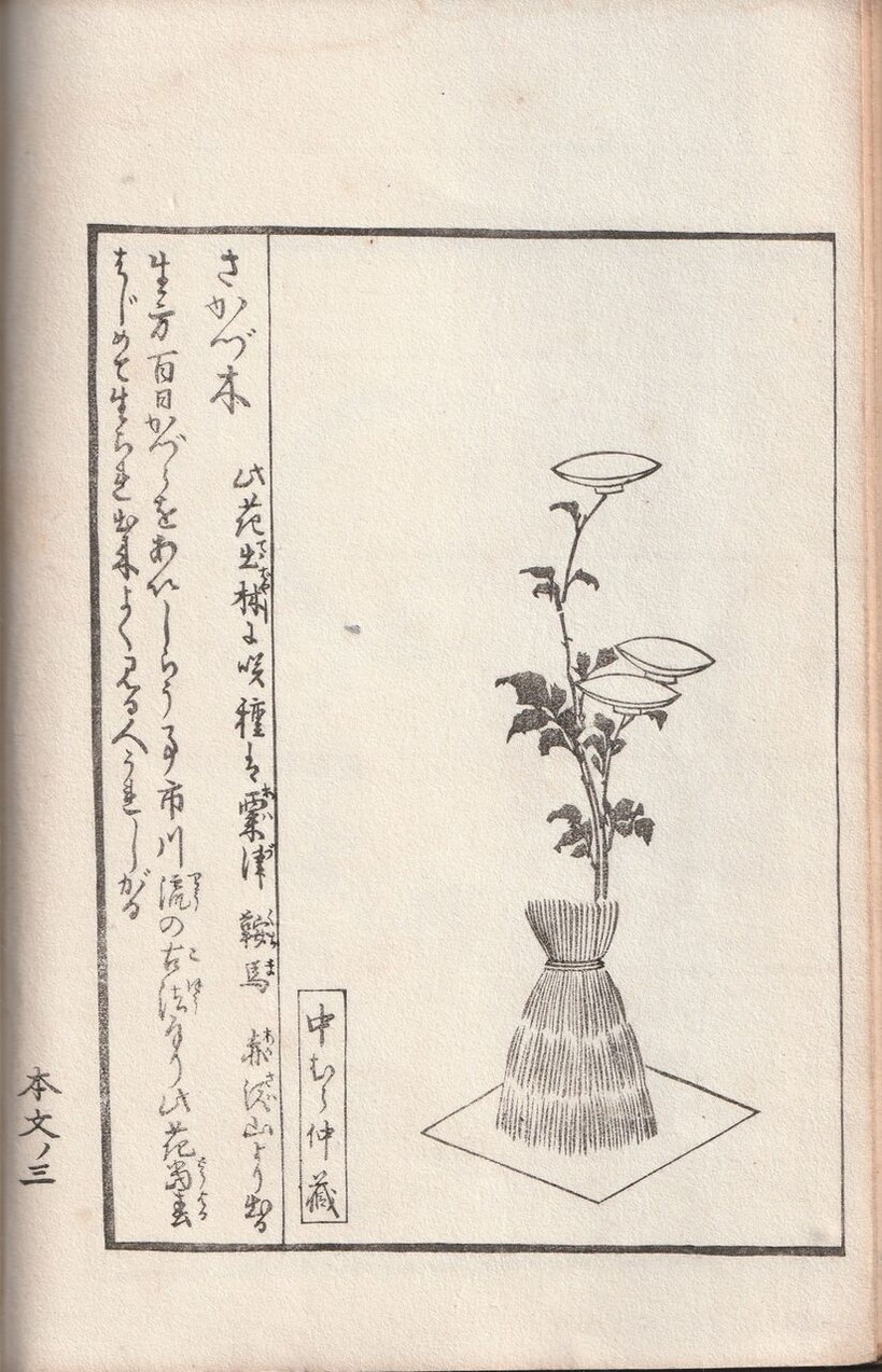 図版８.「抛入狂花園」より挿図