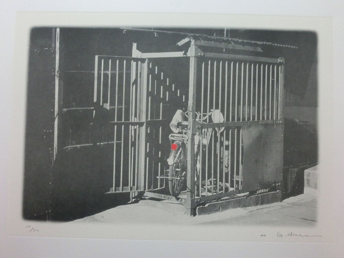 14 「獰猛な肛（テールランプ）門」