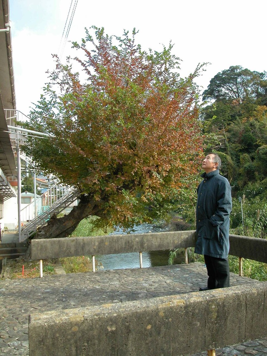 009・002・乗律蝨溷ｰ丞ｭｦ譬｡函