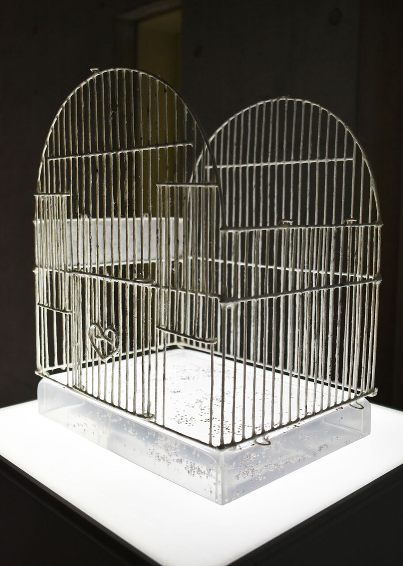 Birdcage Without Roof #4 のコピー