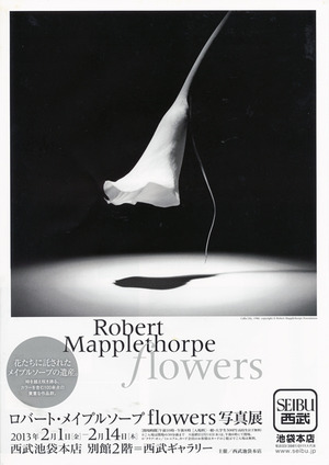 mapplethorpe1