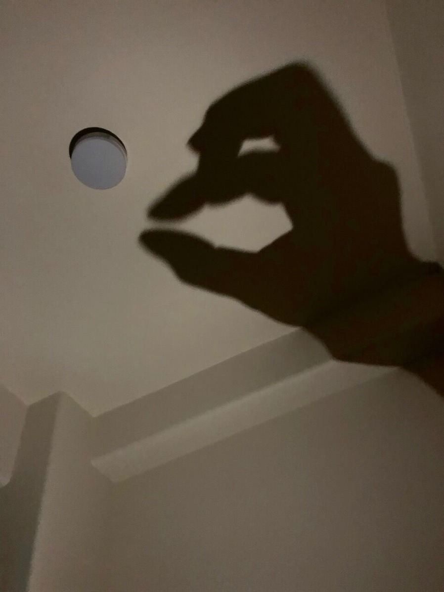 202005野口琢郎_3232