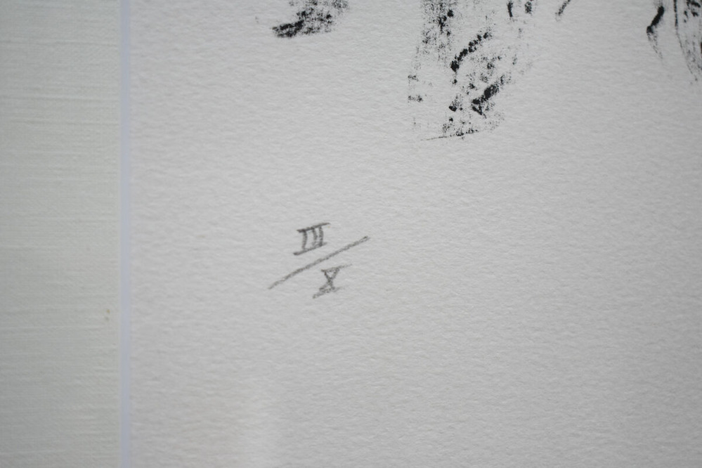 No.7　アンリ・ミショー (6)