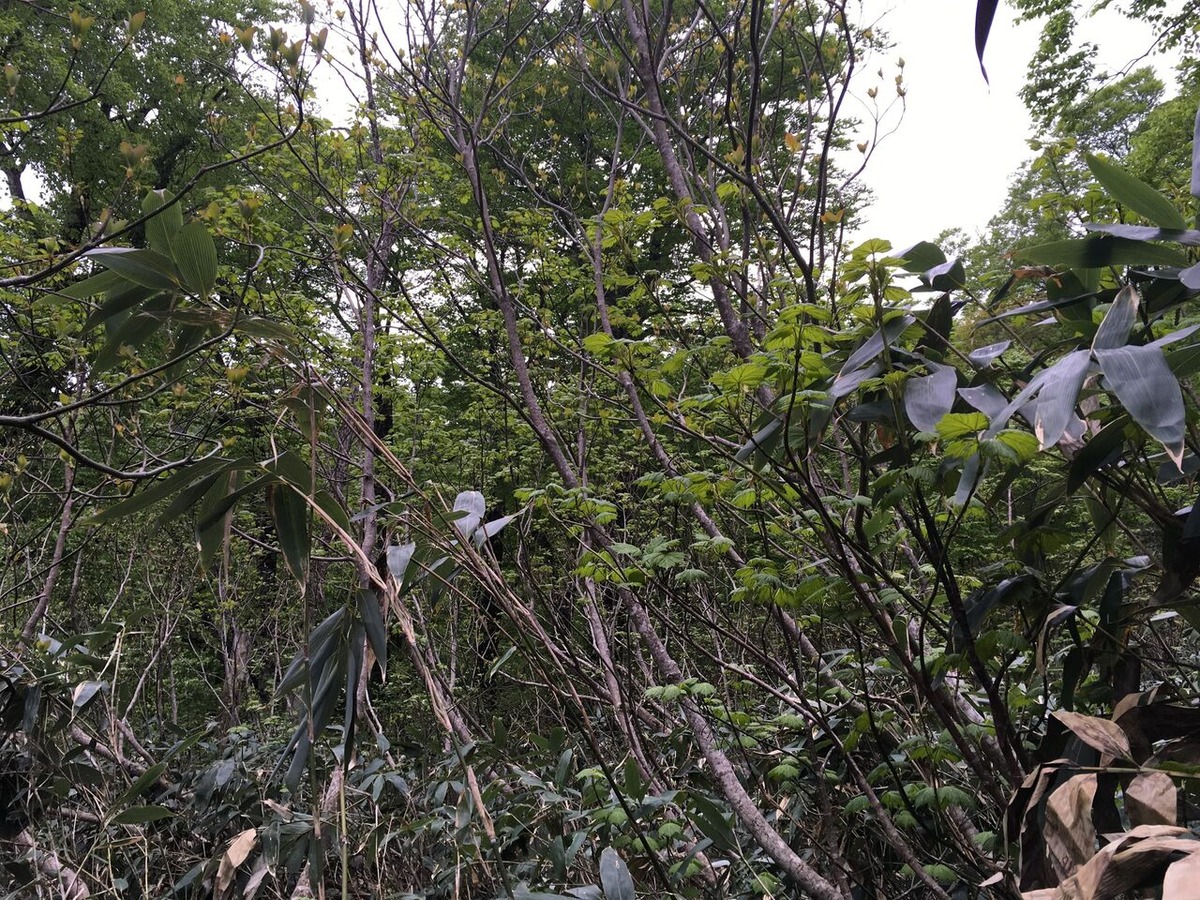 202106佐藤研吾004IMG_1328