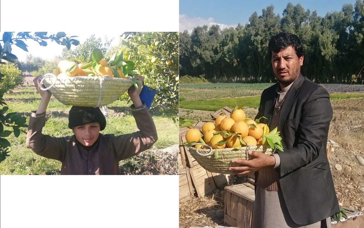 ペシャワール20201229-2-9