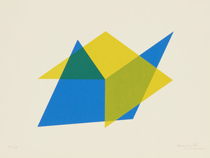 160_堀内正和《咬みあう二つの形》