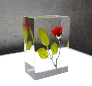 48薔薇の封印一輪