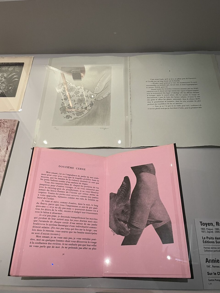 53) Le Brun Sur le champ