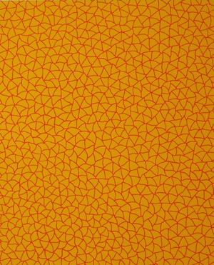 321.Infinity Nets(YOR)草間321