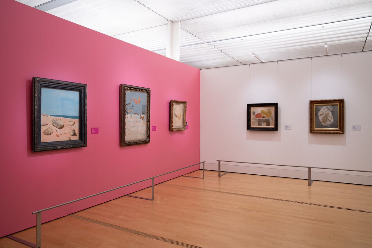 東海林洋_KNK8156