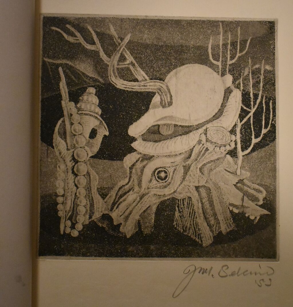 ペシャワール会2月関野準一郎画集２